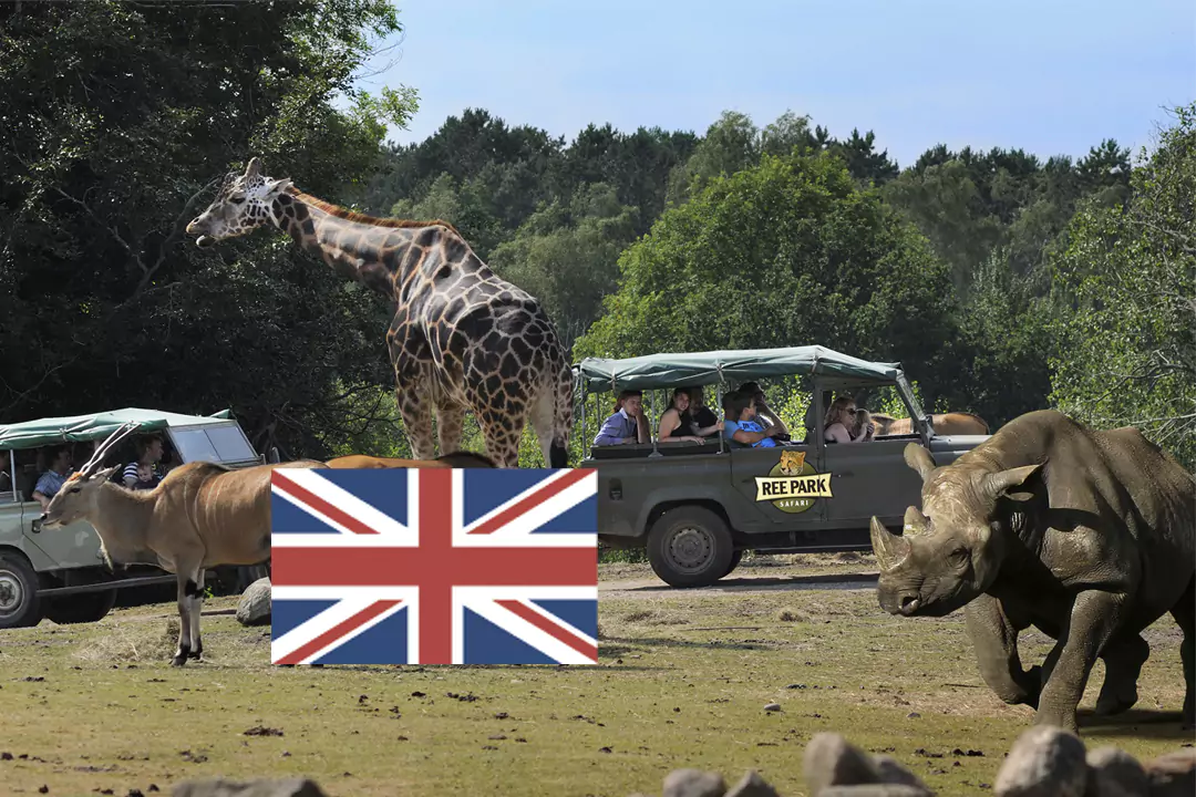 Land Rover Safari – ENGLISH