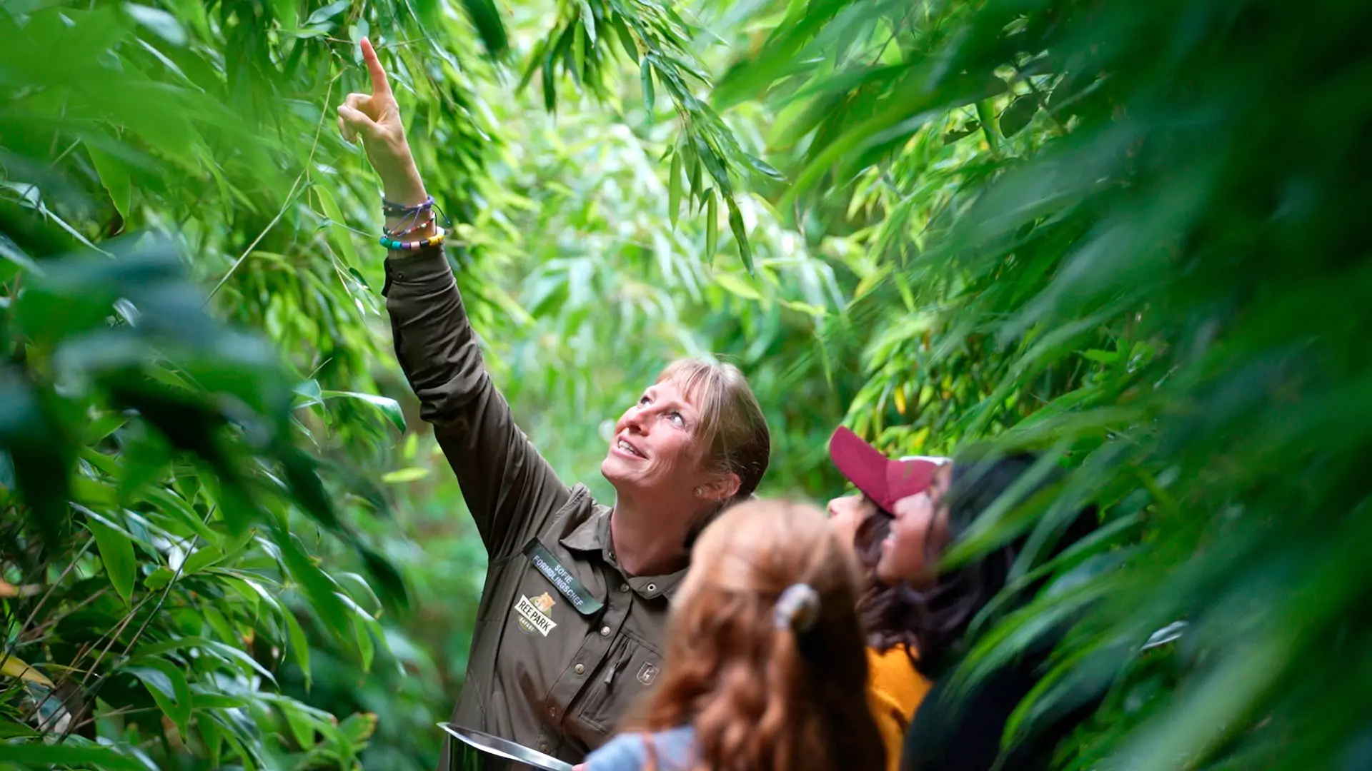 erleben sie ree park safari 15 walkingsafari 232 web 6613d487e2256