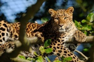 erleben sie ree park safari 16 344266587 241984651708094 3110237971846155459 n