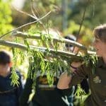Undervisningsforløb til grupper