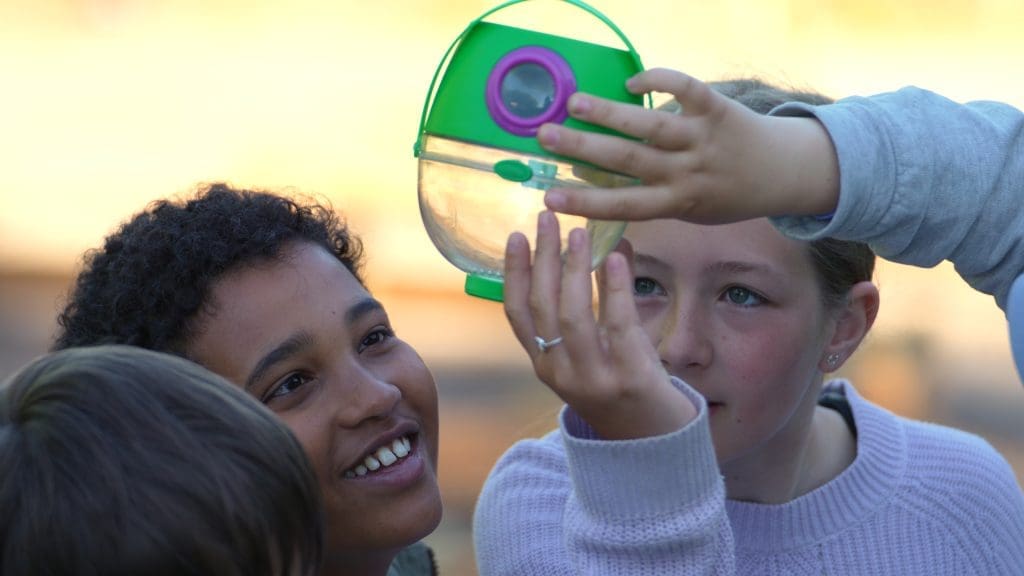 Priser i Safariskolen 8 Safariskolen testdag 1.66.1 1