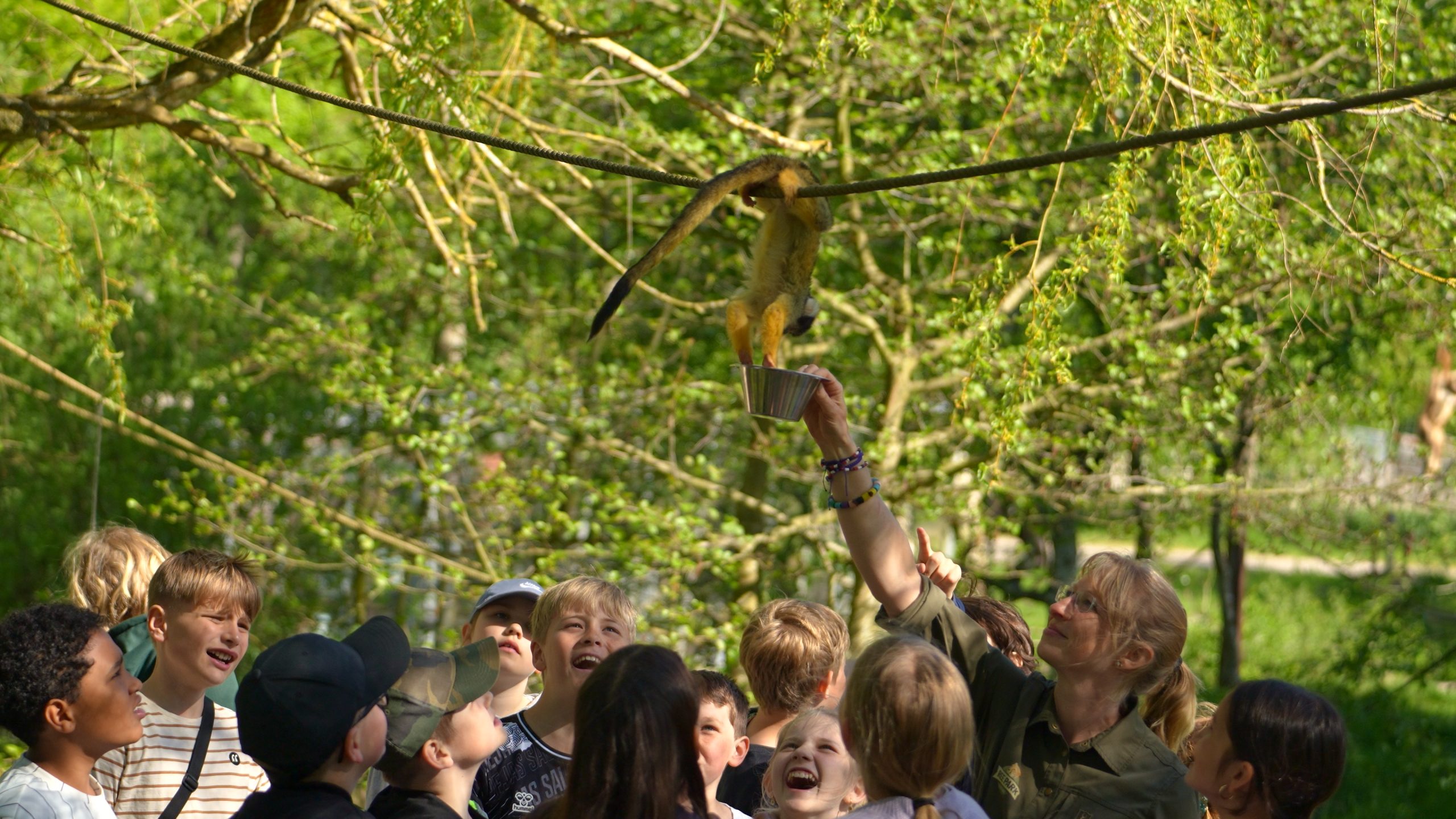 Safariskolen 2 Untitled 1.4.1 scaled scaled scaled