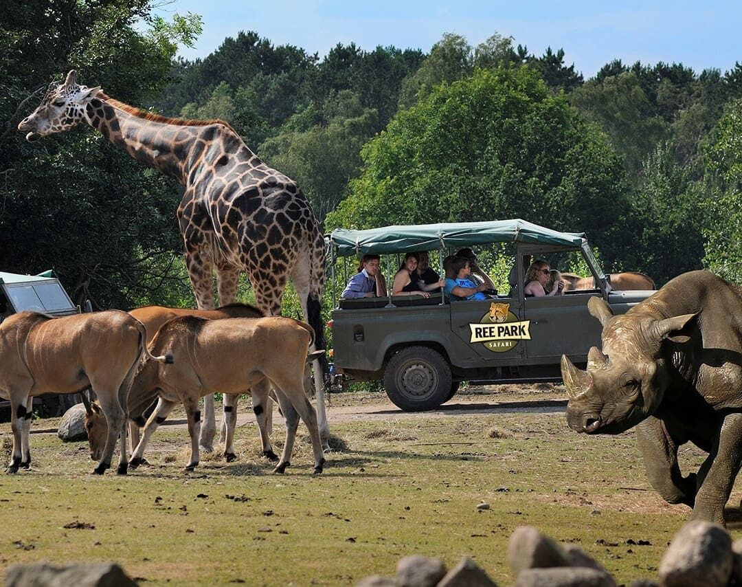 safaritur e1774876384639