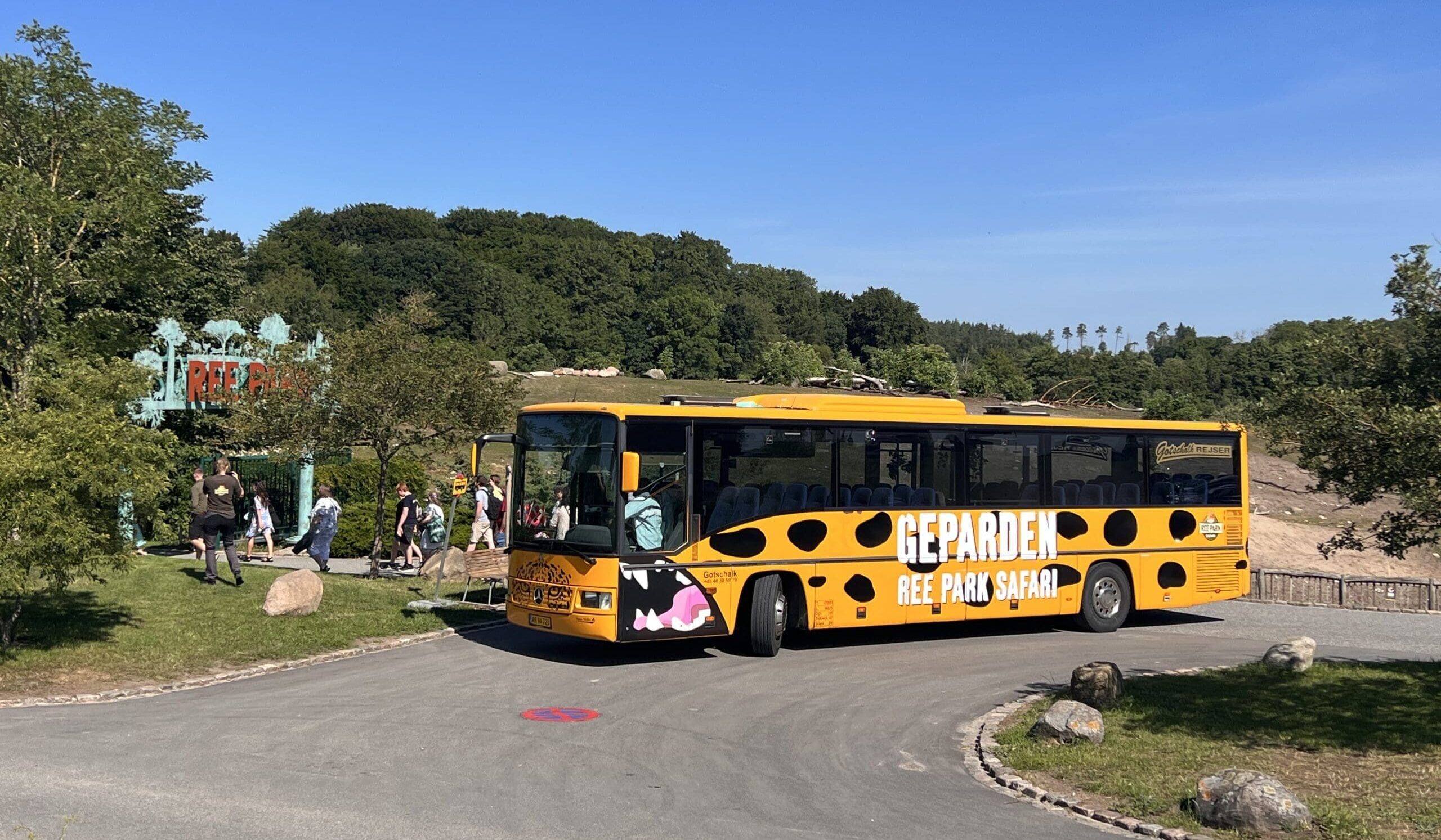 IMG 3194 1 scaled e1774936869262