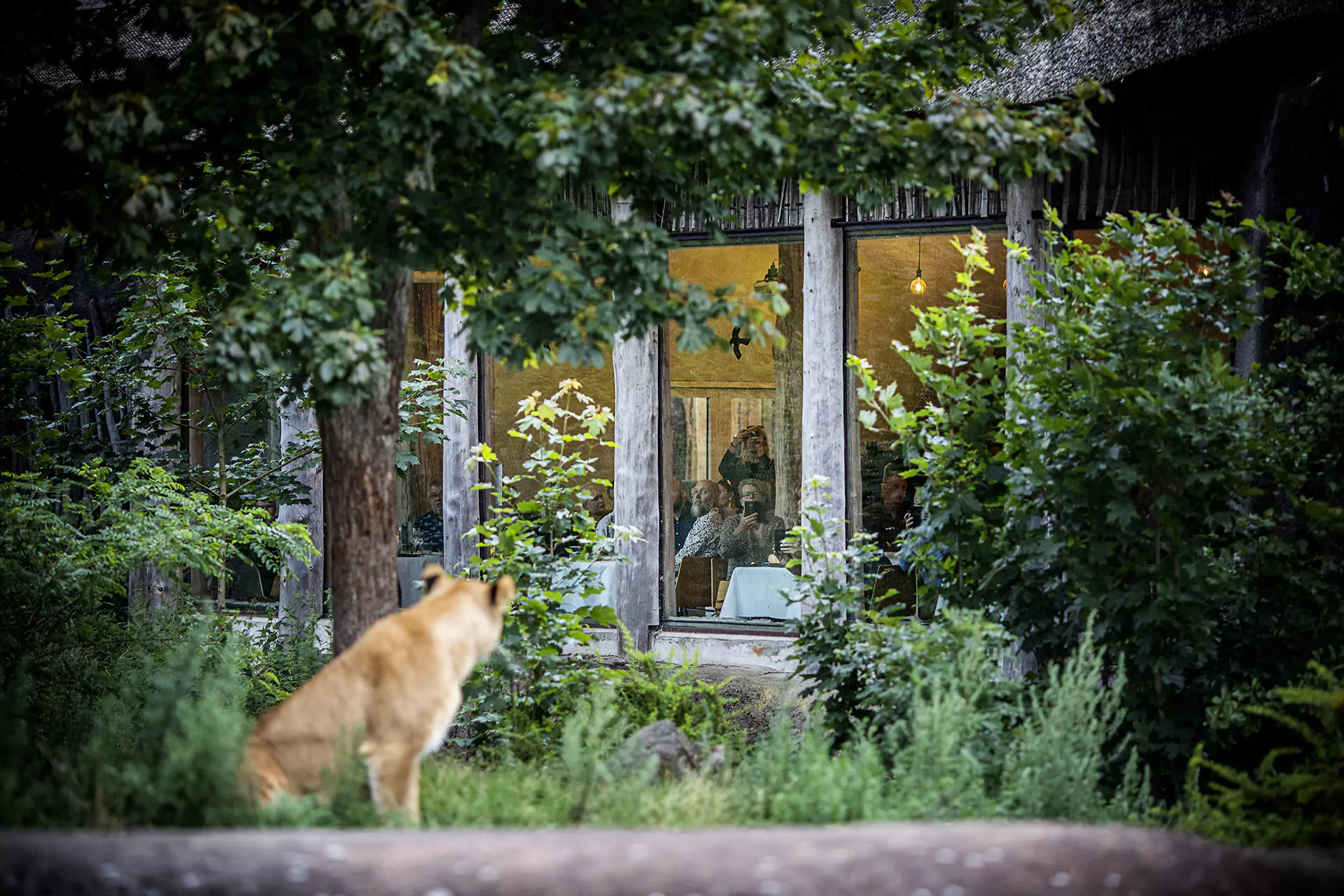 reepark raisfoto 73881 small 67d186feb4908