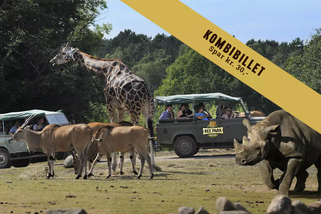 Land Rover Safari
