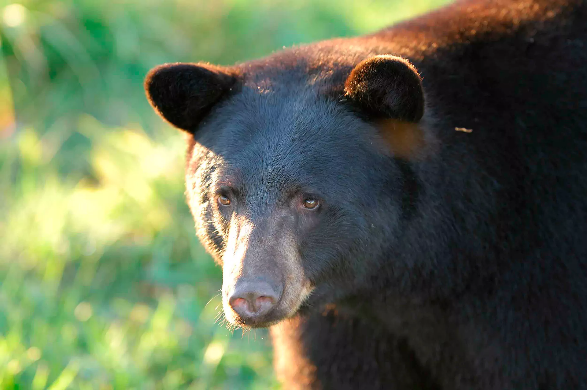 0041897 s 6891e51a675bf 1