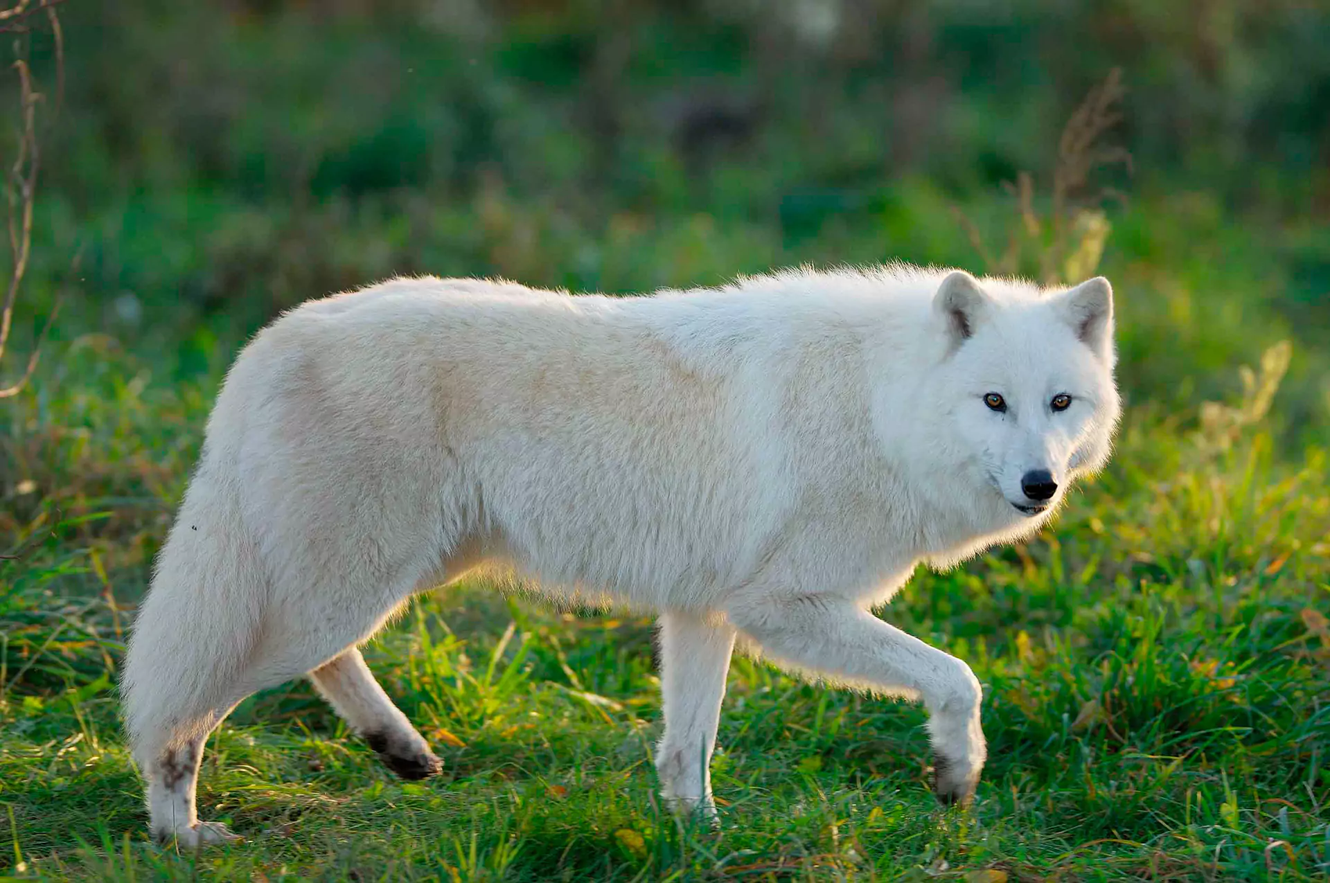 0041908 s 6891e5215f5b0 1