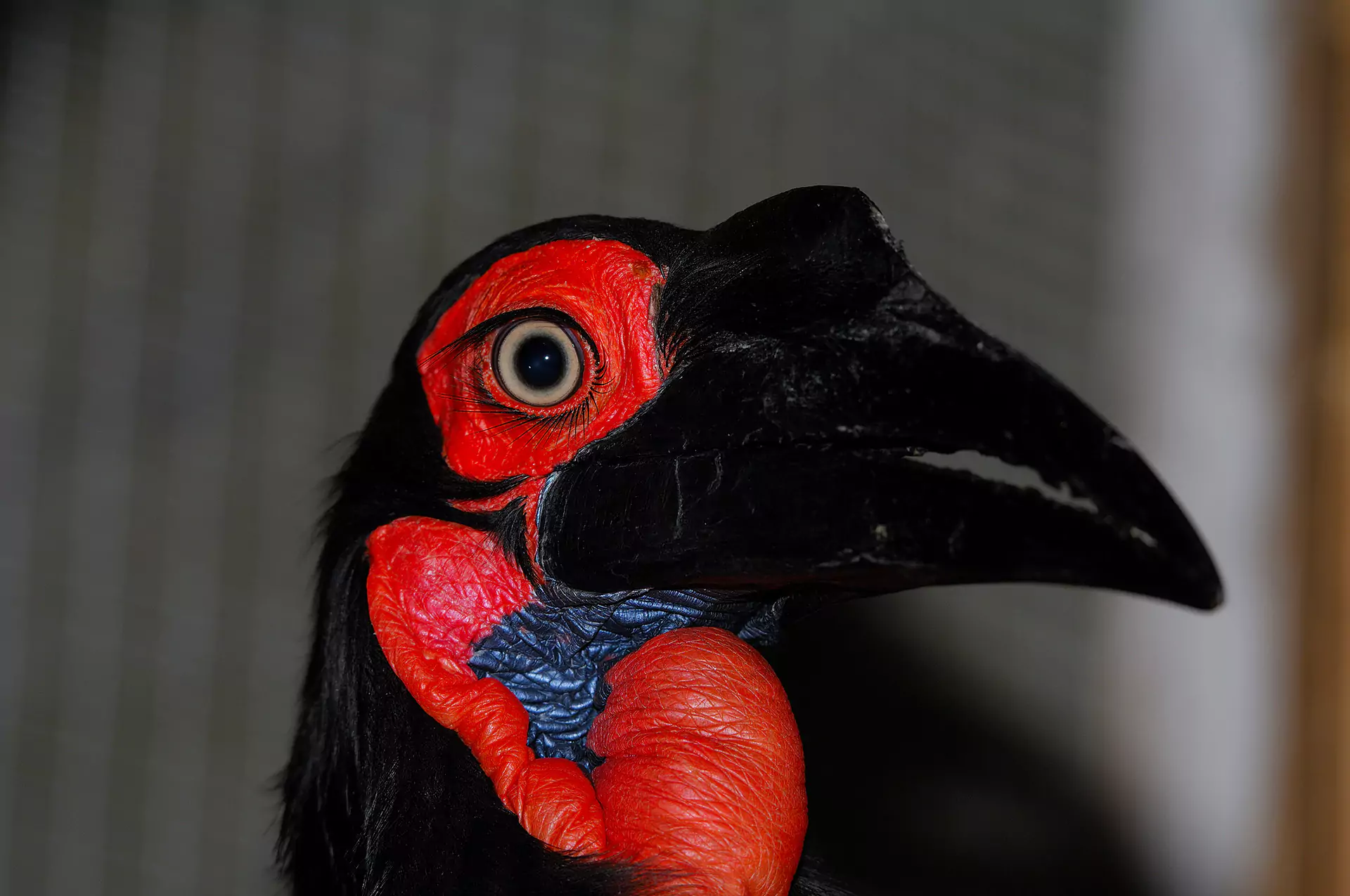 0043046 6891bcea7d57b