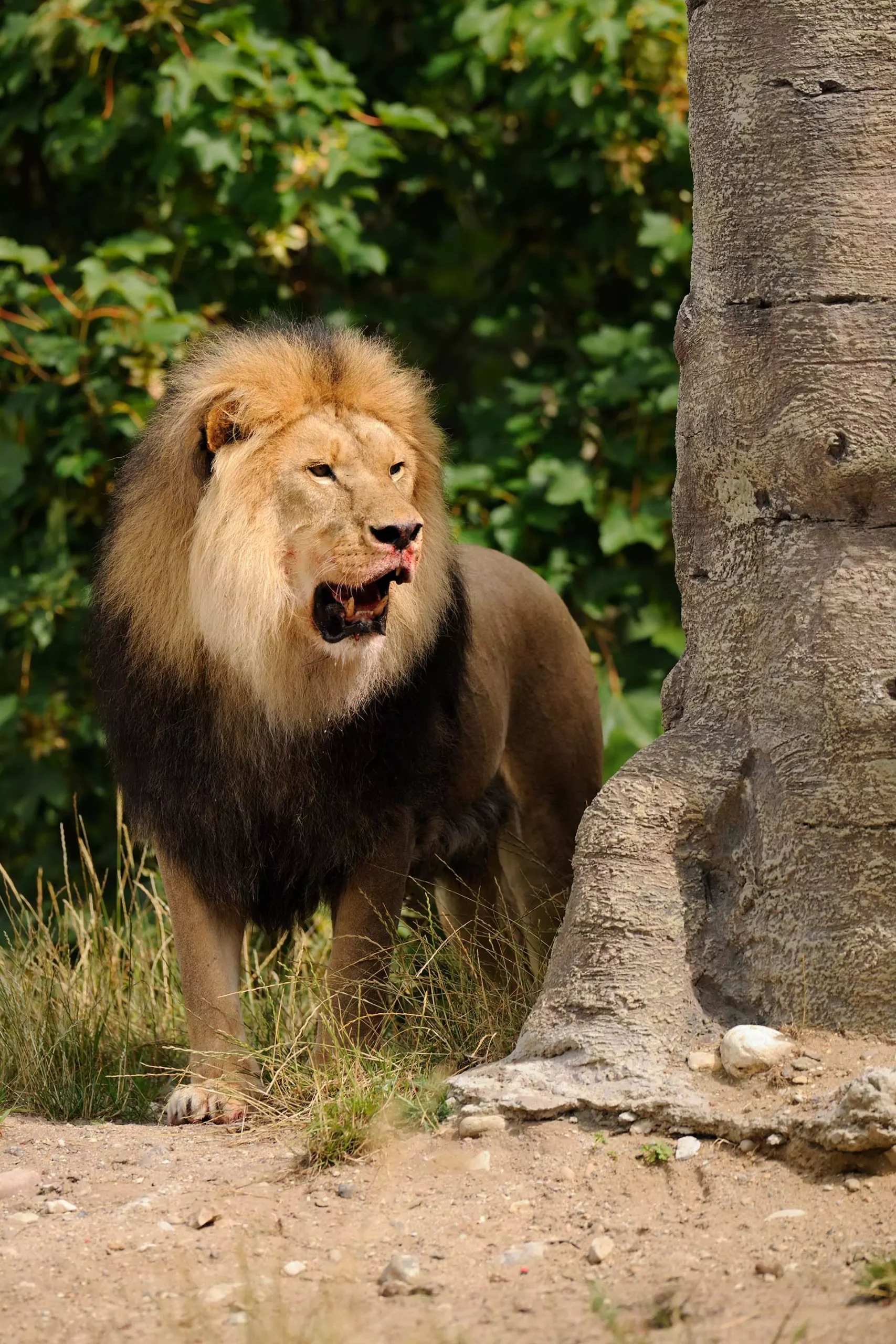 d049880 6891bad4272b7 scaled