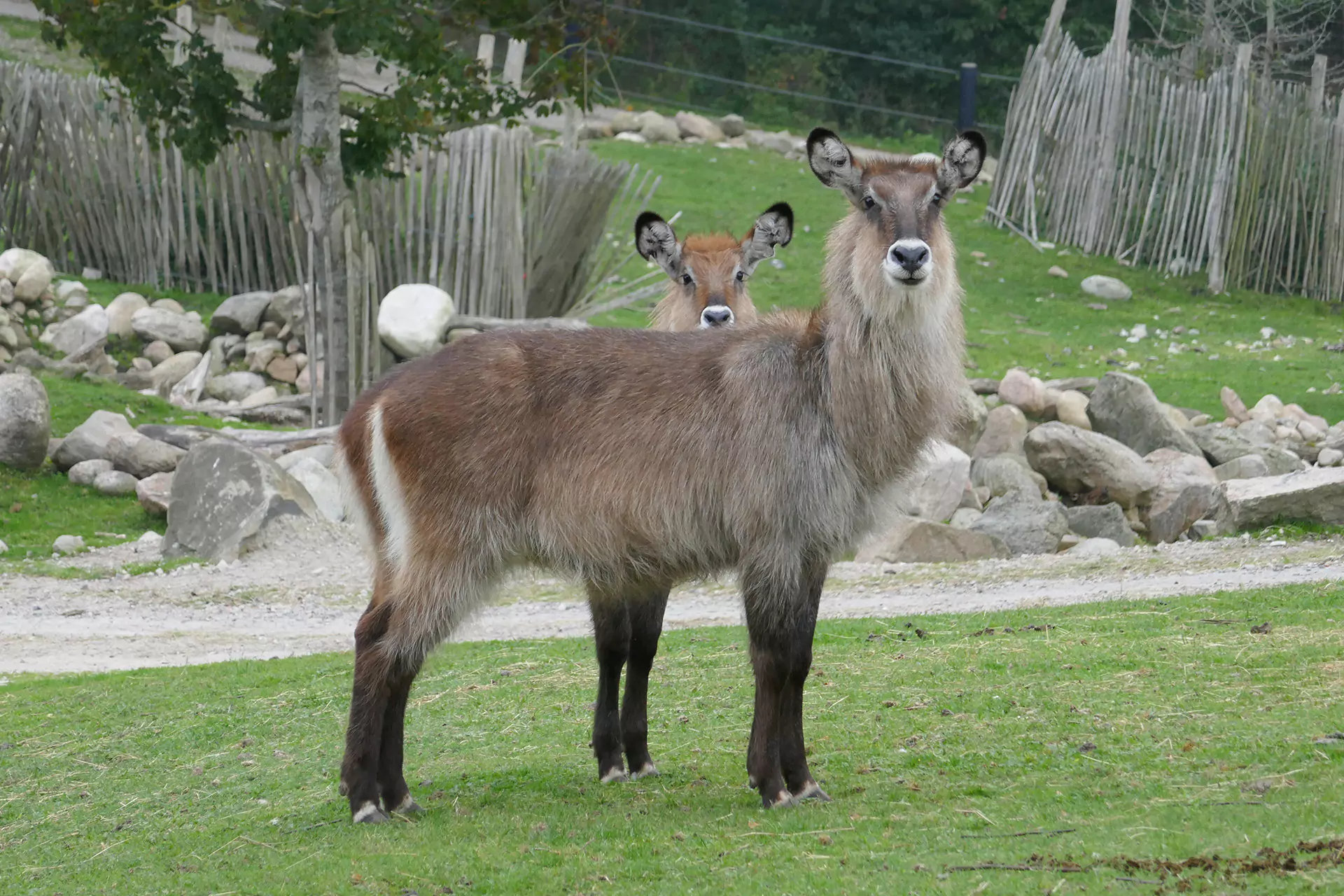 p1300578 6891bc356b928