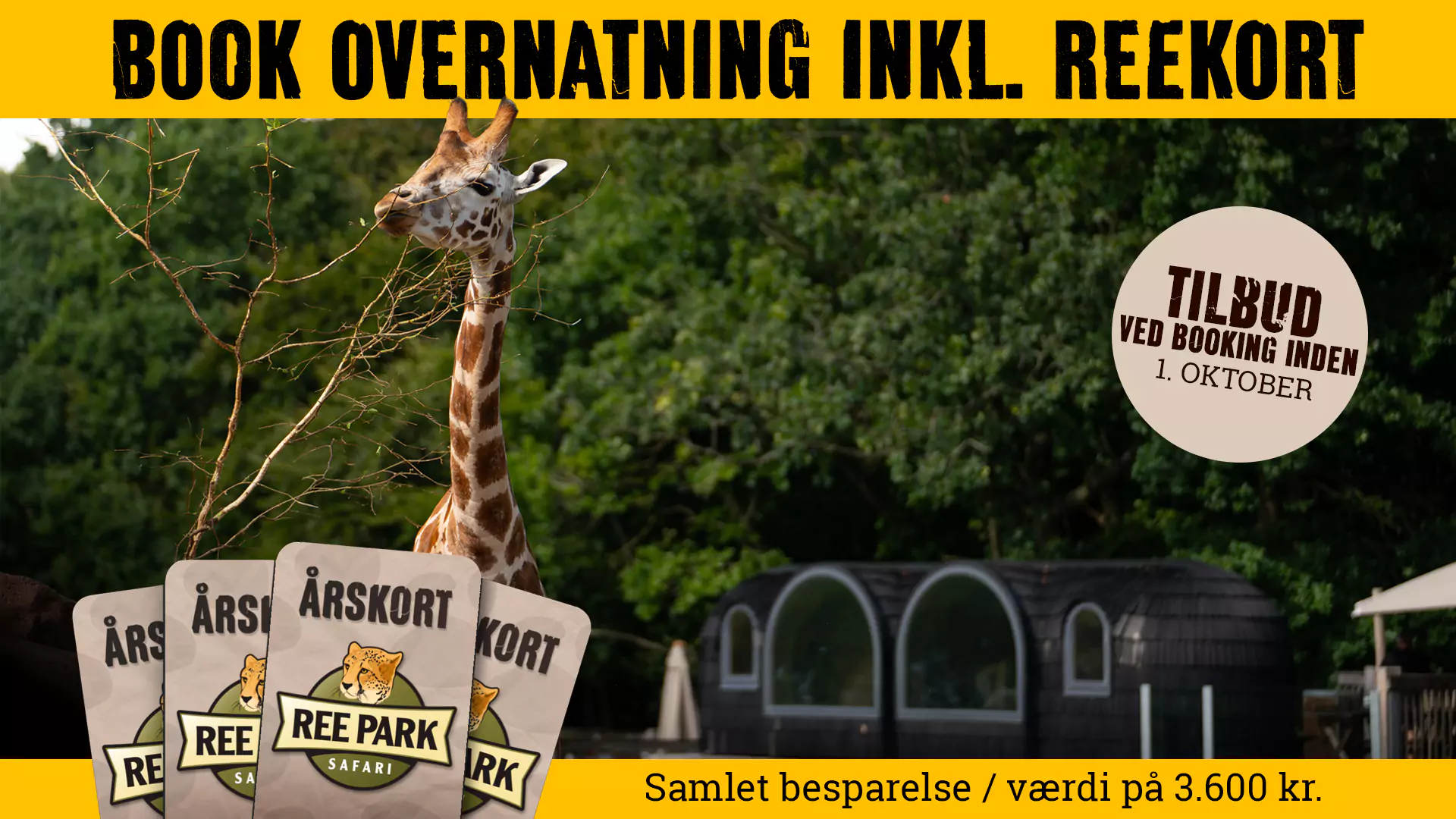 sensommer tilbud overnatning 16x9 1okt 68bfd077e50a3