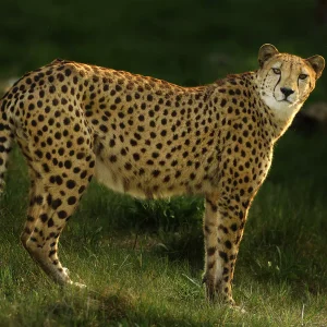 b001475 68cd4d153da3c