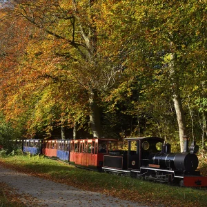 l021528 68cd4d1d681b1