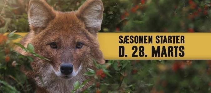 Påskens program 2026 2 original CAC023D3 F476 483C 846F A6A9F3B37020